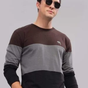 RFS006 || Charcoal || Round Neck Full Sleeve T-Shirt